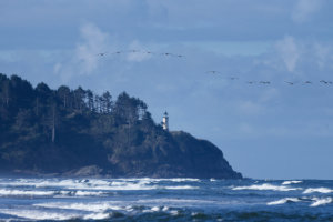North Head Lighthouse II