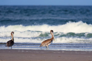 Toes in the Sand III