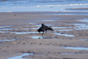 We Are Being Watched