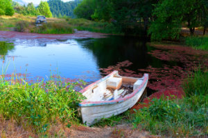 Ferry to Studebaker Island