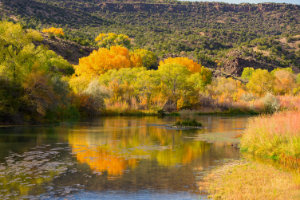 Rio Grande Reflections
