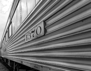 1370 in Black and White