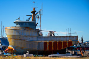 Navel Jelly and Paint Please