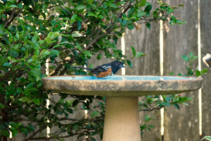 Excuse Me, I'm Bathing Here Excuse Me