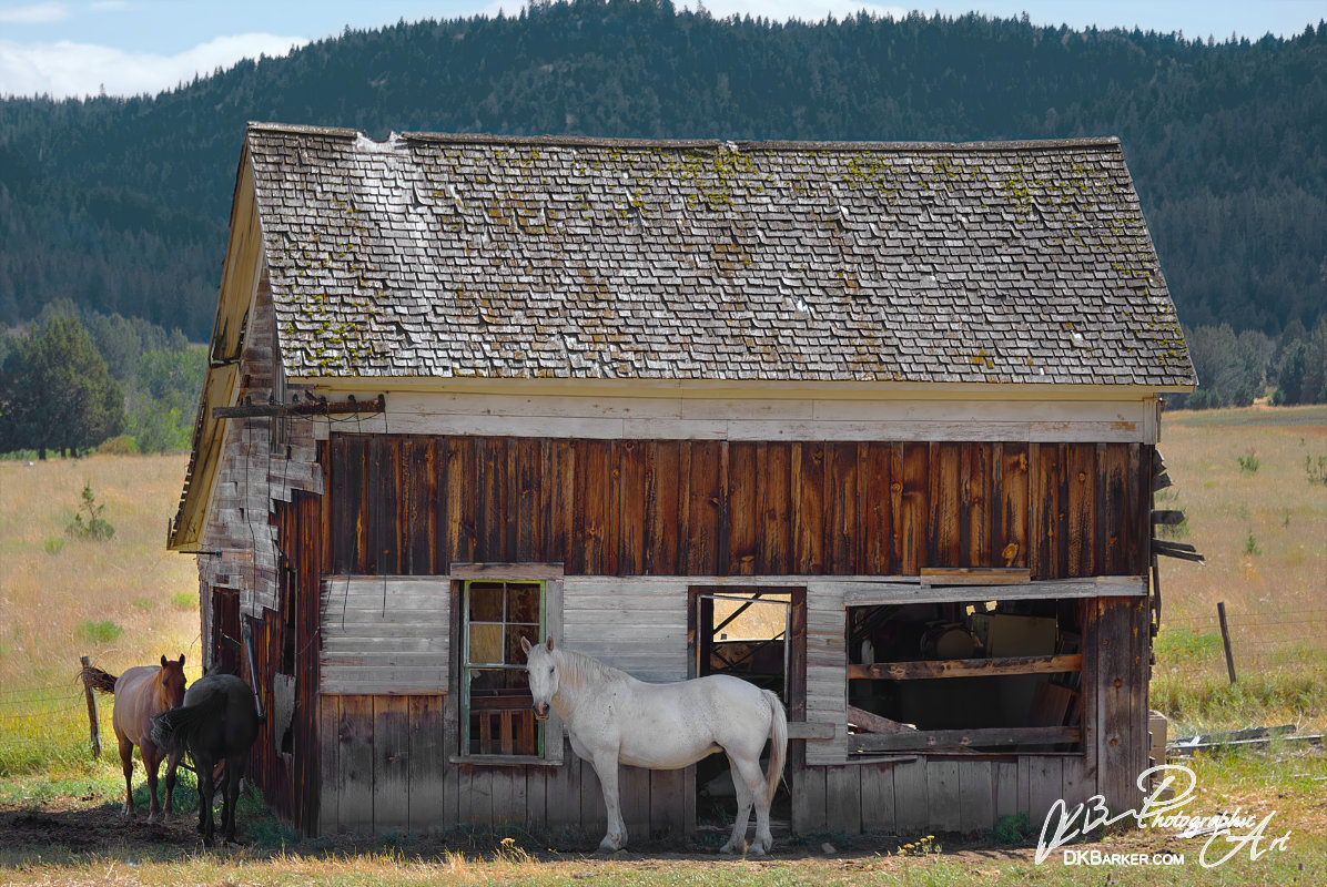 Rural Oregon Horse Barn
