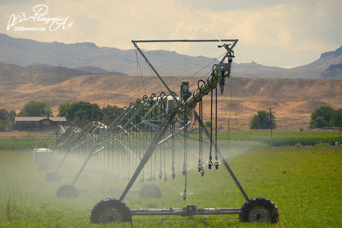 Irrigating viewpoint