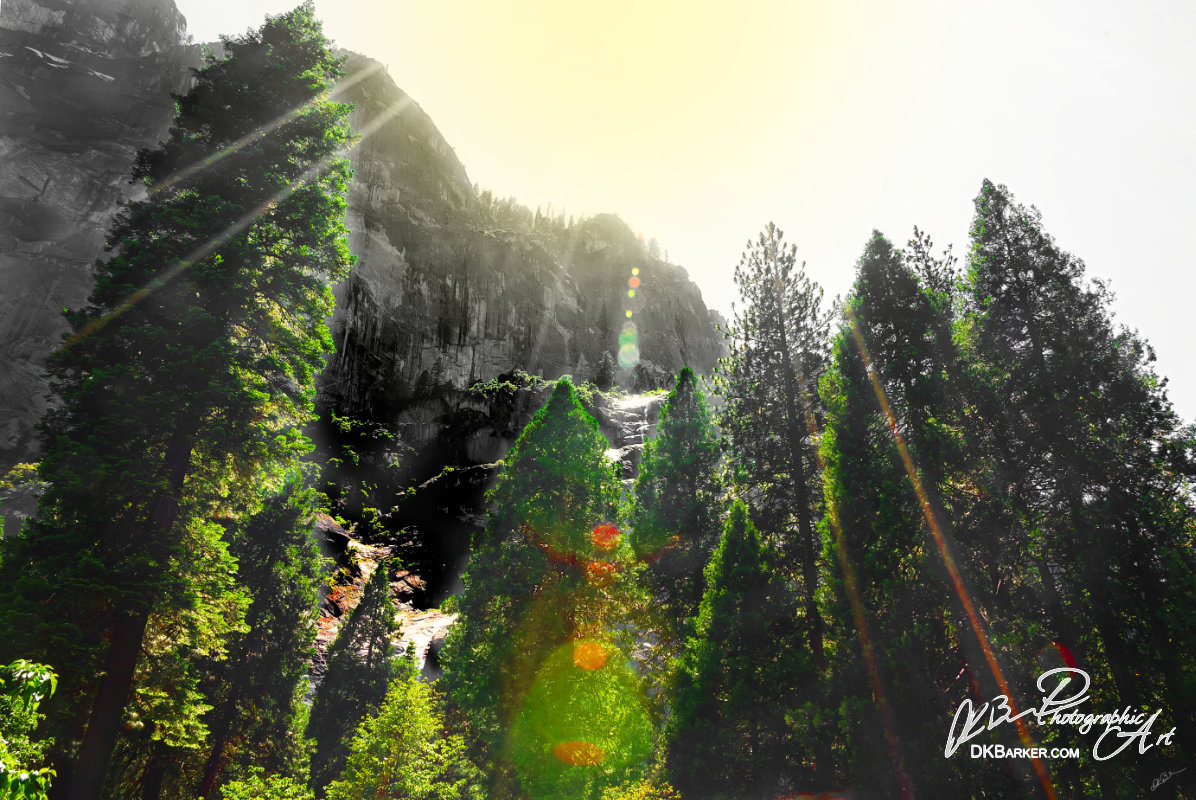 Yosemite Light on the Valley Floor